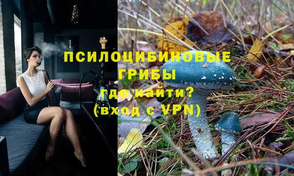 гашиш Вяземский