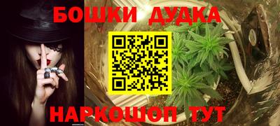 стафф Лесосибирск