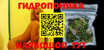 ешки Камышлов