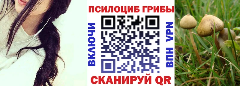 магазин продажи наркотиков  Мценск  Псилоцибиновые грибы MAGIC MUSHROOMS 