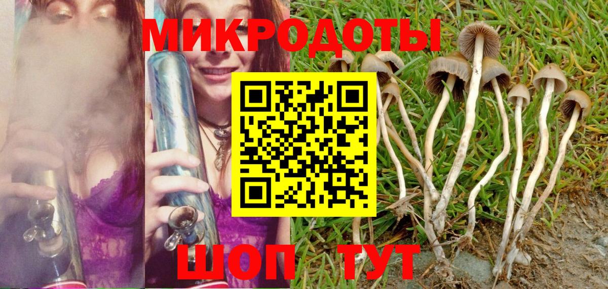 Псилоцибиновые грибы мицелий  Вход с VPN  Псилоцибиновые грибы GOLDEN TEACHER  Мценск 