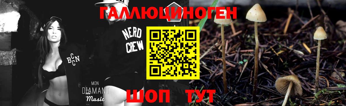 Псилоцибиновые грибы Cubensis  Мценск  Галлюциногенные грибы Psilocybe 